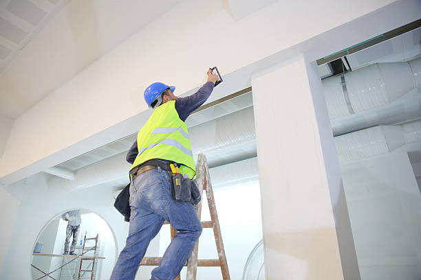 Best Repainting for Renovations  in South Holland, IL