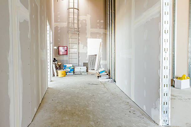 Best Drywall for Remodeling  in South Holland, IL